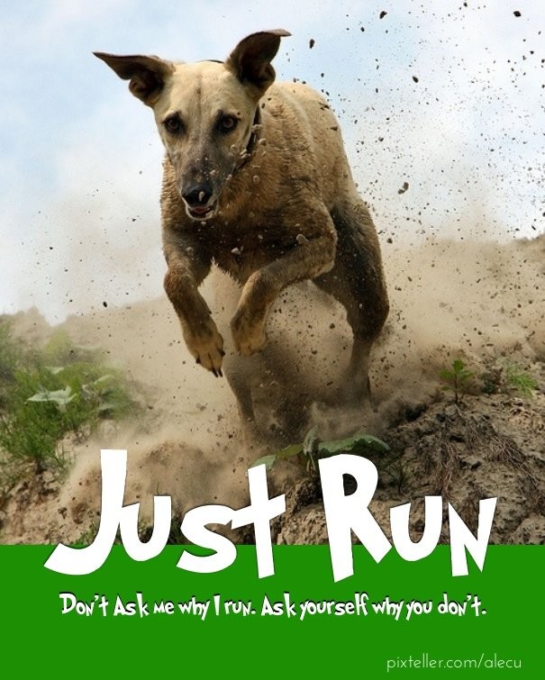 Just Run Don't Ask me why I run. Ask Design 
