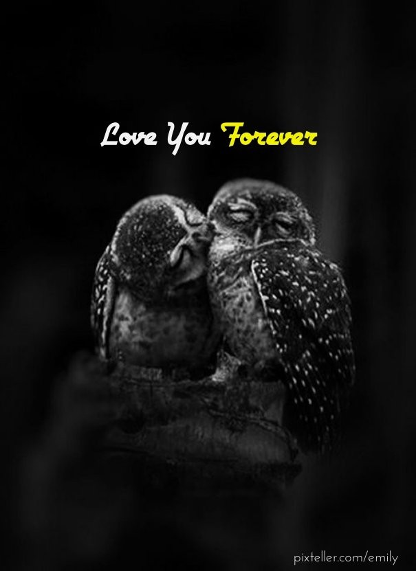 Love you forever Design 