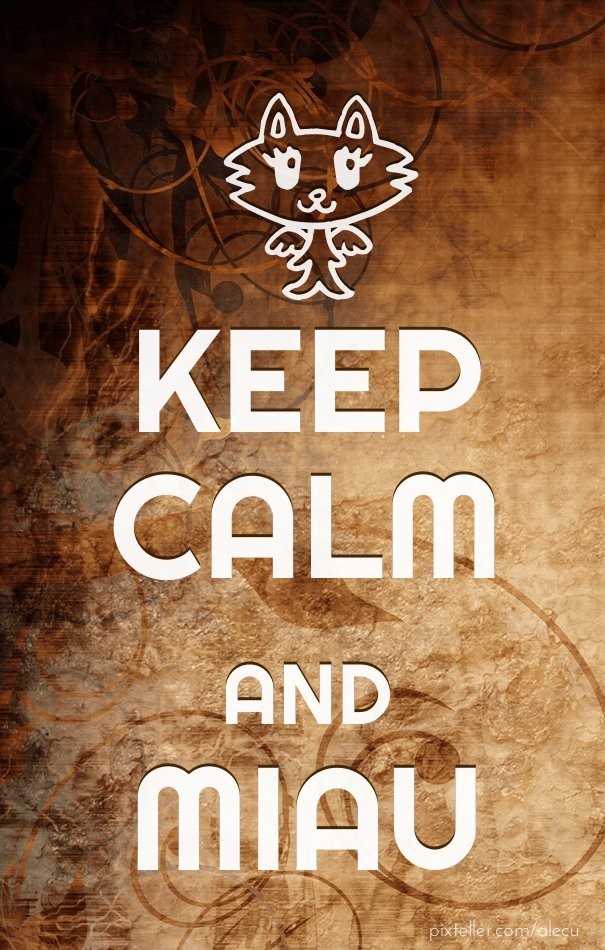 Keep calm and miau Design 