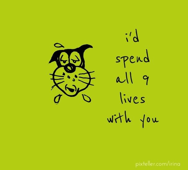 I'd spend all 9 lives with you Design 