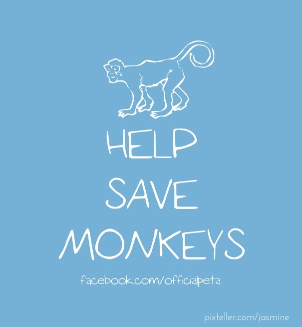 Help save monkeys Design 