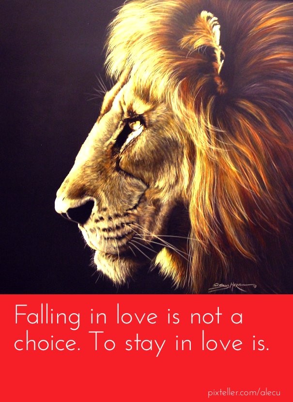 Falling in love is not a choice. to Design 