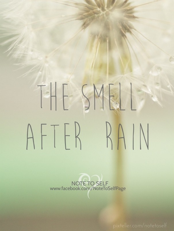The smell after rain note to self Design 