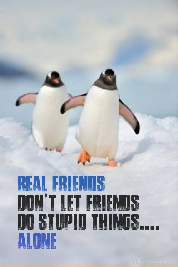 Real friends don't let friends do Design 