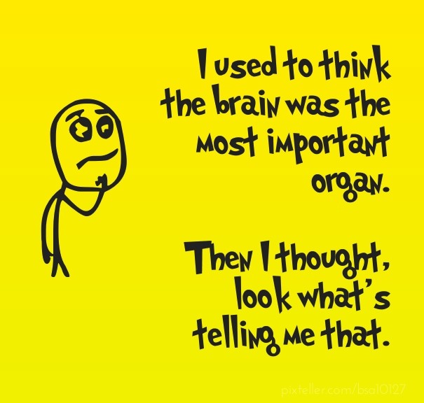 I used to think the brain was the Design 