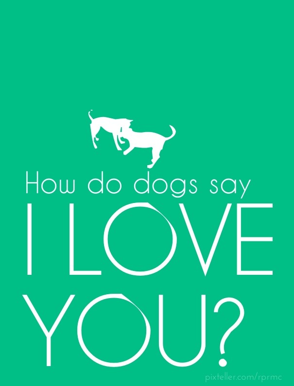 How do dogs say i love you? Design 