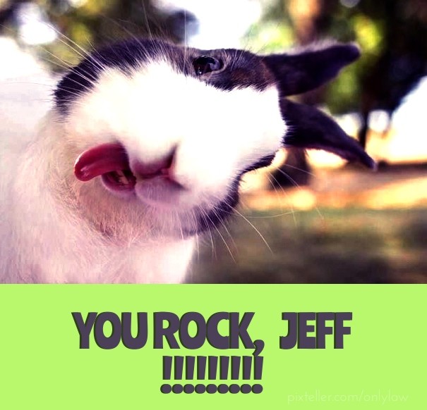 You rock, Jeff !!!!!!!!! Design 