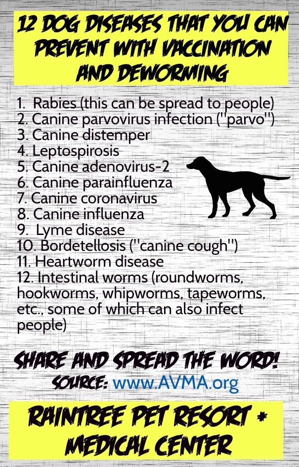 1. rabies (this can be spread to Design 