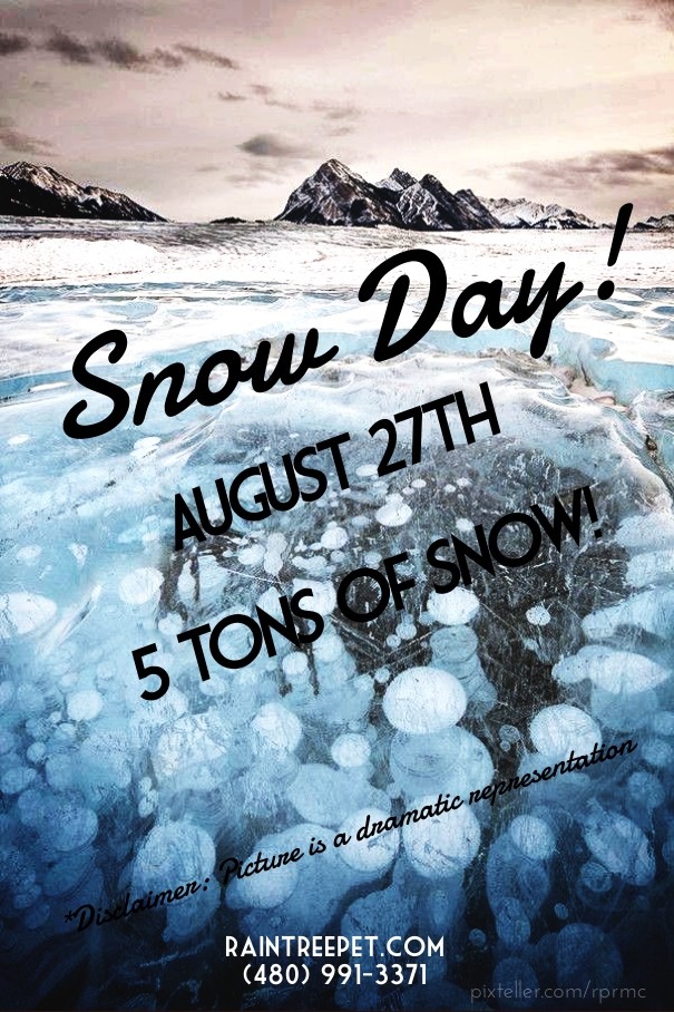 Snow day! august 27th 5 tons of Design 