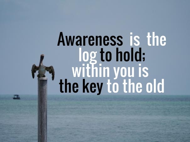 Awareness is the log to hold; within Design 