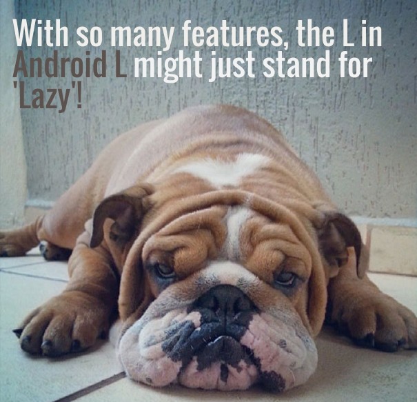 With so many features, the l Design 