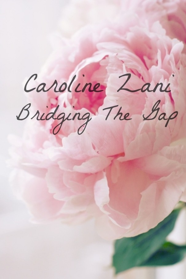 Caroline zani bridging the gap Design 