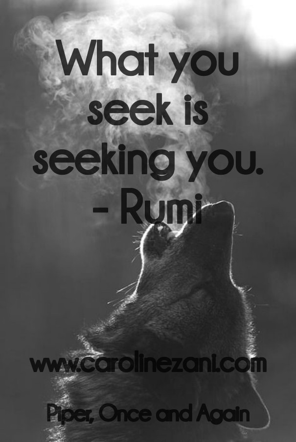 What you seek is seeking you. - rumi Design 