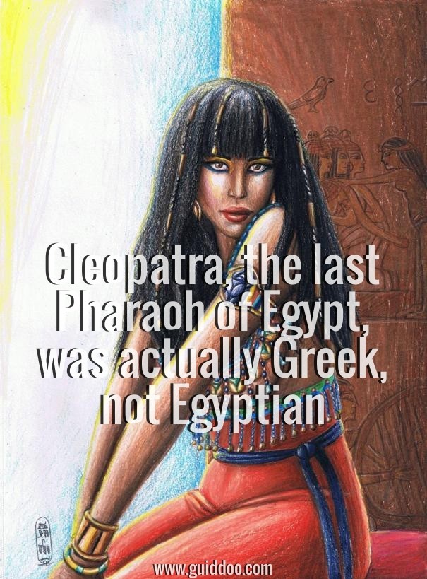 Cleopatra, the last pharaoh of Design 