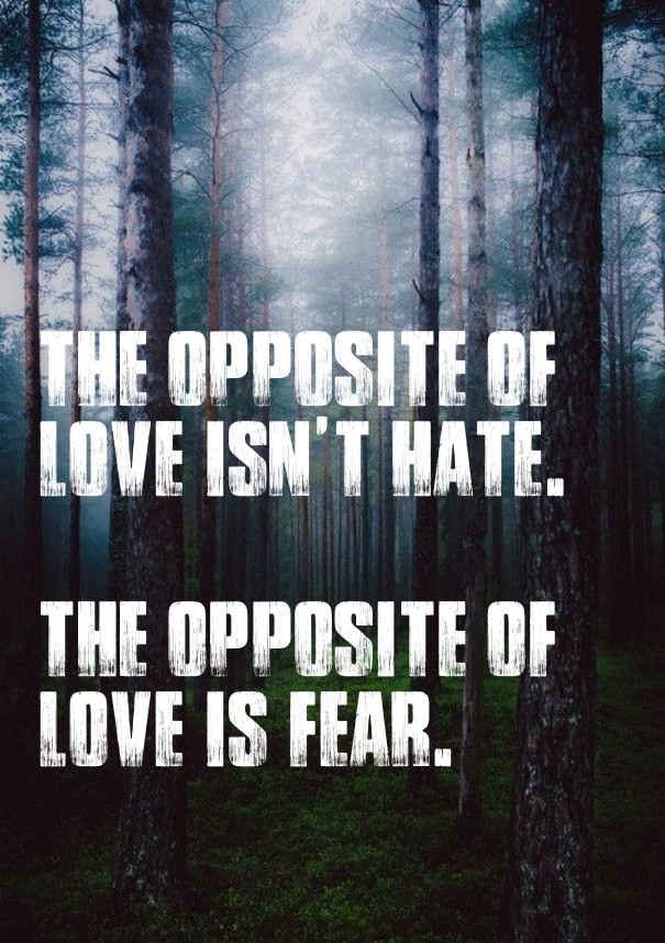 The opposite of love isn't hate. the Design 