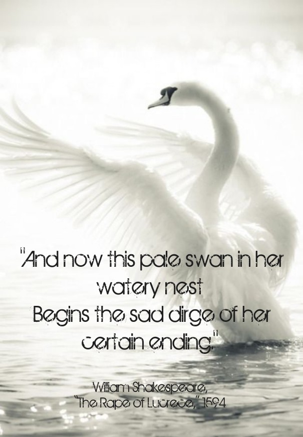 &quot;and now this pale swan in her Design 
