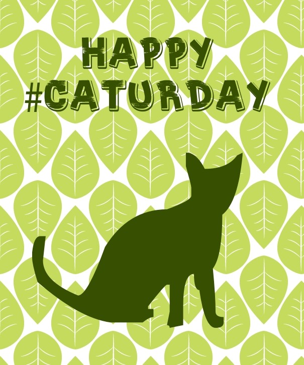 Happy #caturday Design 