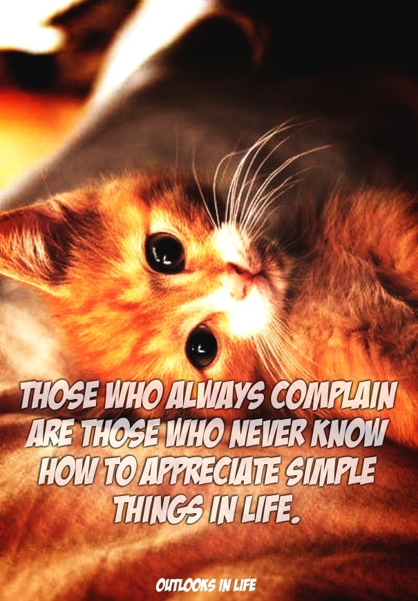 Those who always complain are those Design 