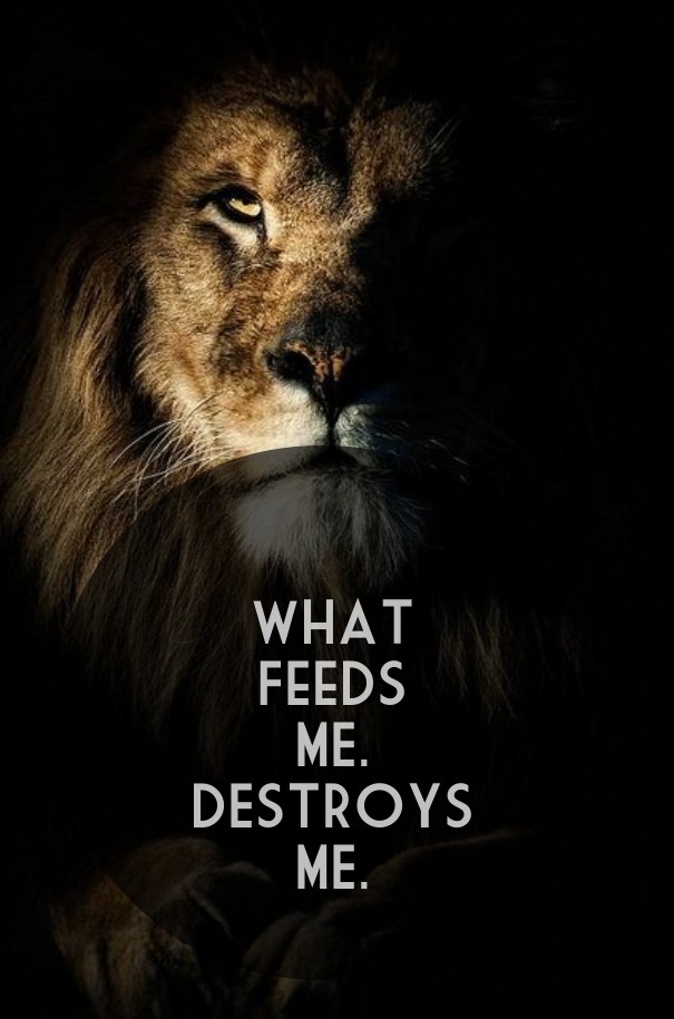 What feeds me. destroys me. Design 