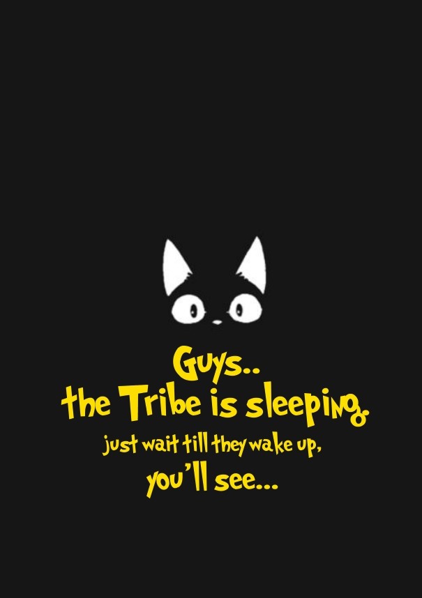 Guys.. the tribe is sleeping. just Design 