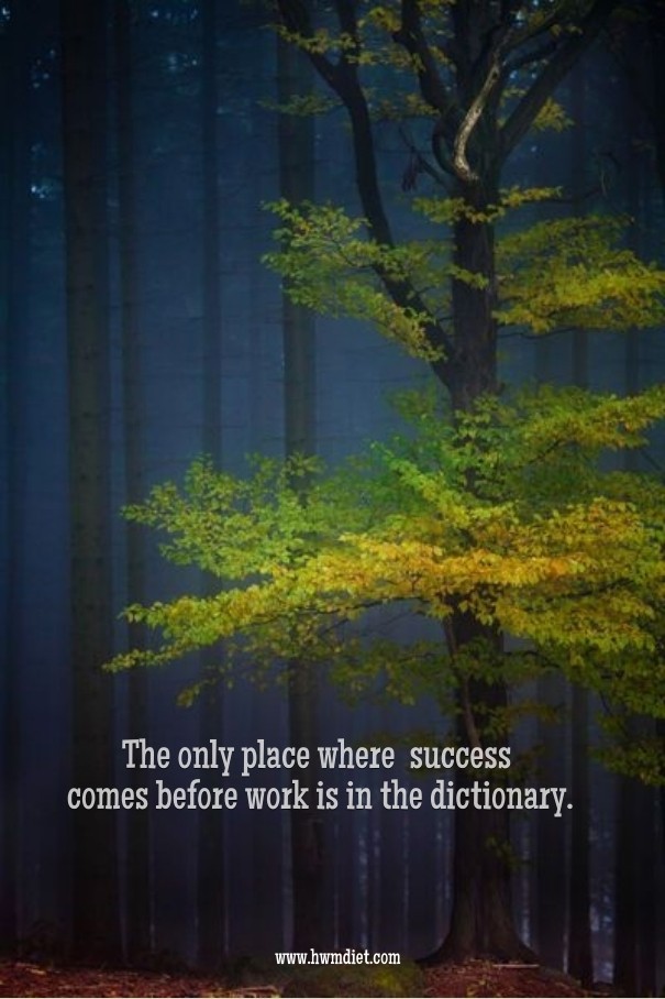 The only place where success comes Design 