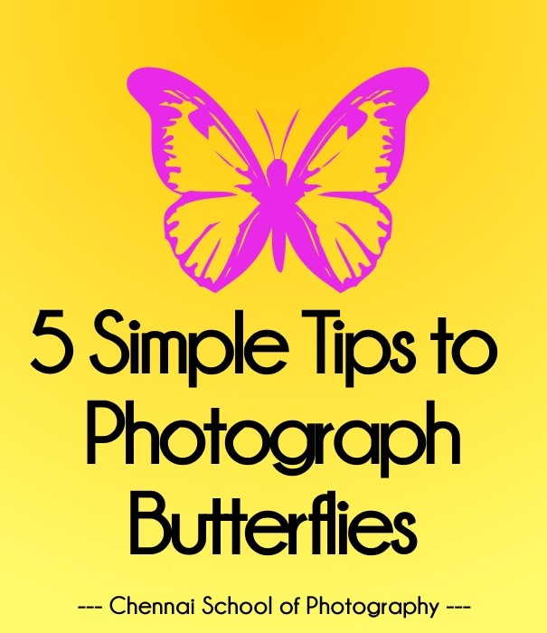 5 simple tips to photograph Design 