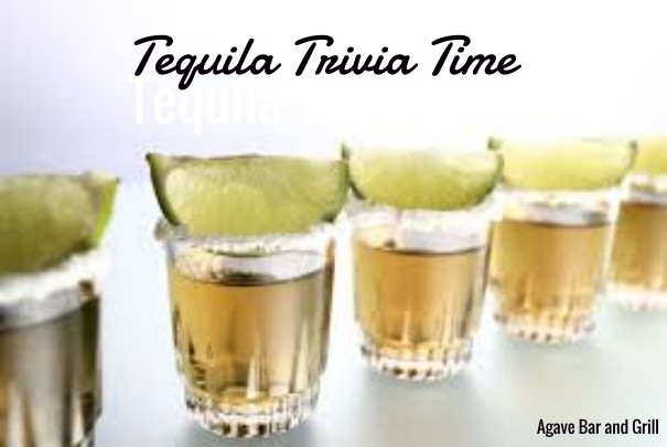 Tequila trivia time tequila trivia Design 