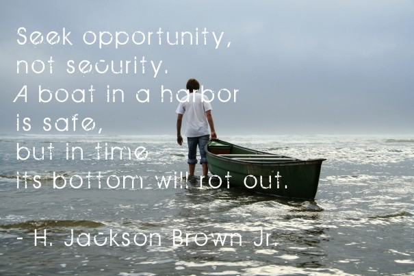 Seek opportunity, not security. a Design 