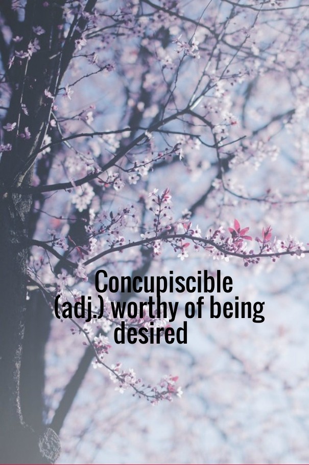 Concupiscible (adj.) worthy of being Design 