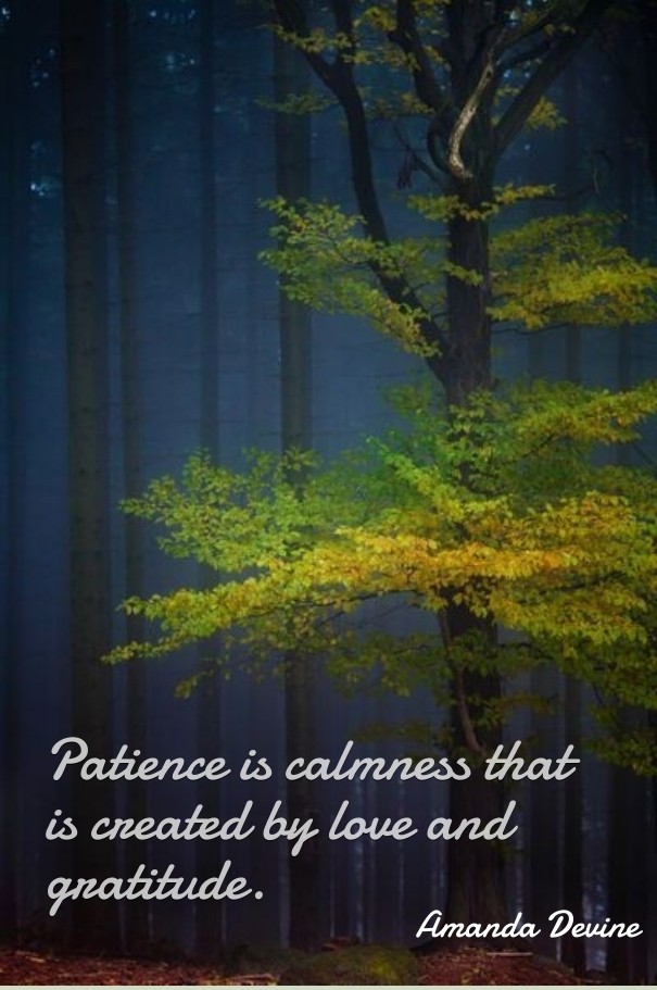 Patience is calmness that is created Design 