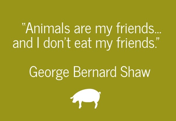 &ldquo;animals are my friends... and Design 
