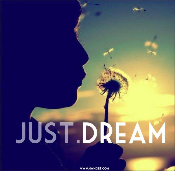 Just.dream www.hwmdiet.com Design 