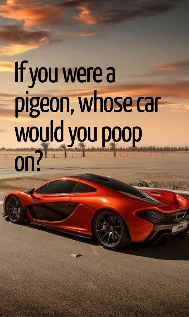 If you were a pigeon, whose car Design 