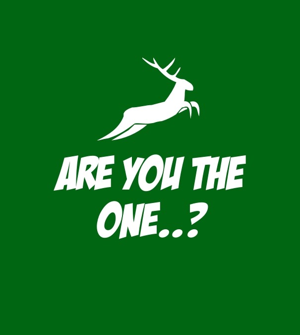 Are you the one..? Design 