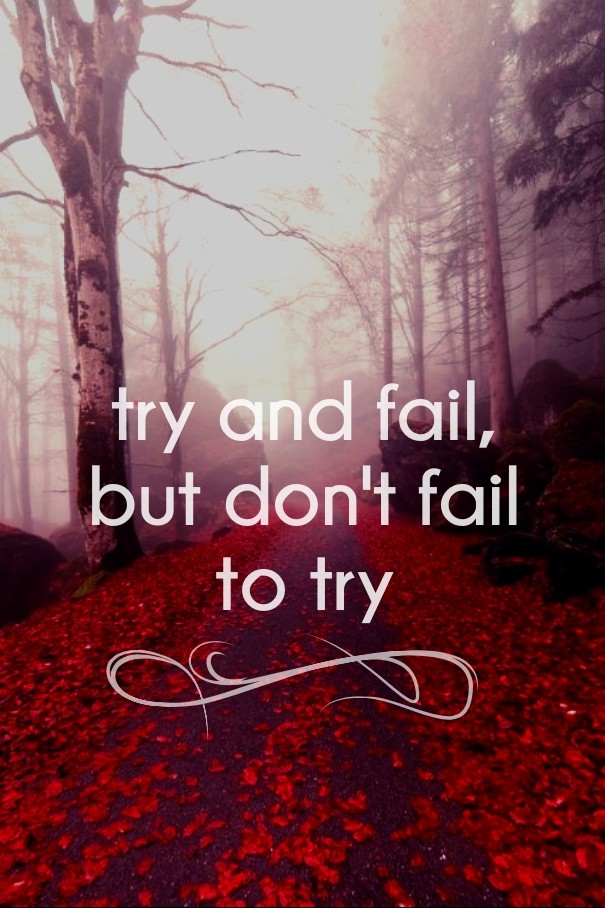 Try and fail, but don't fail to try Design 