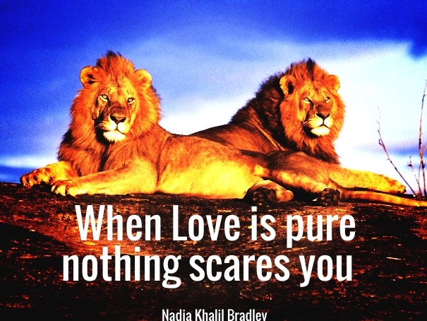 When love is pure nothing scares you Design 