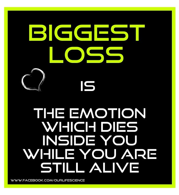 Biggest loss is the emotion which Design 