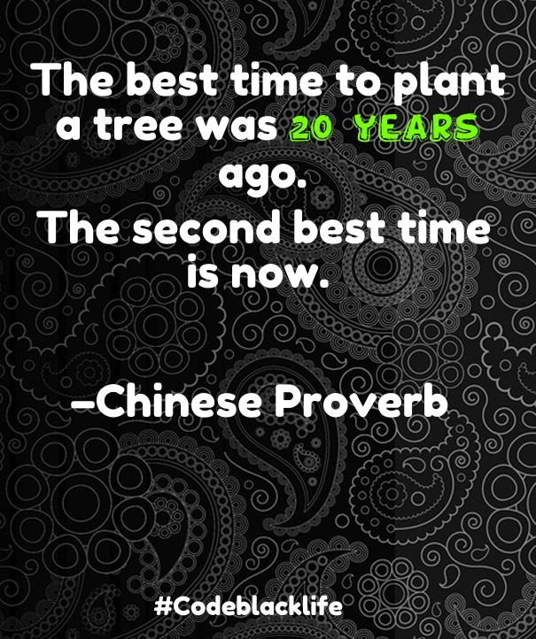 The best time to plant a tree was 20 Design 