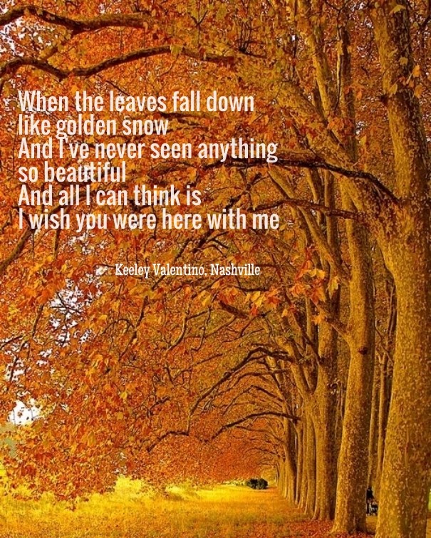 When the leaves fall down like Design 