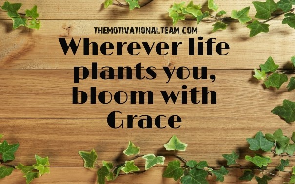 Wherever life plants you, bloom with Design 