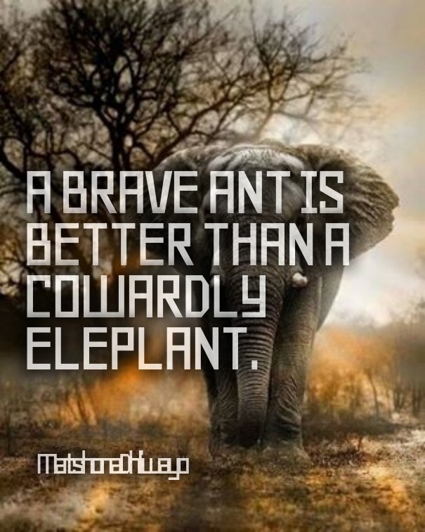 A brave ant is better than a Design 