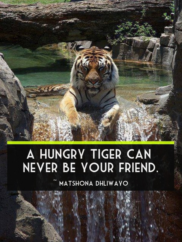 A hungry tiger can never be your Design 