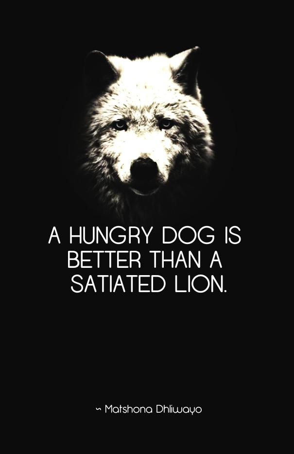 A hungry dog is better than a Design 