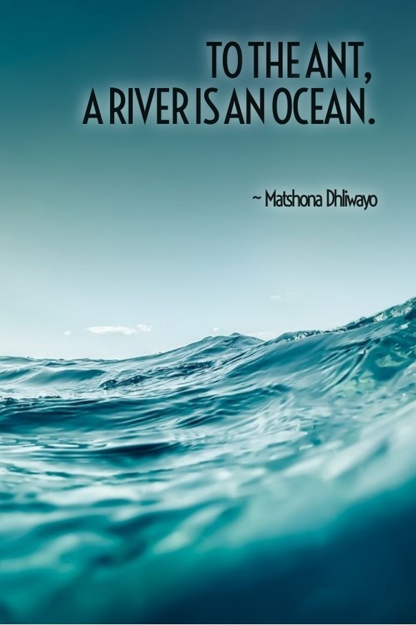To the ant, a river is an ocean. ~ Design 