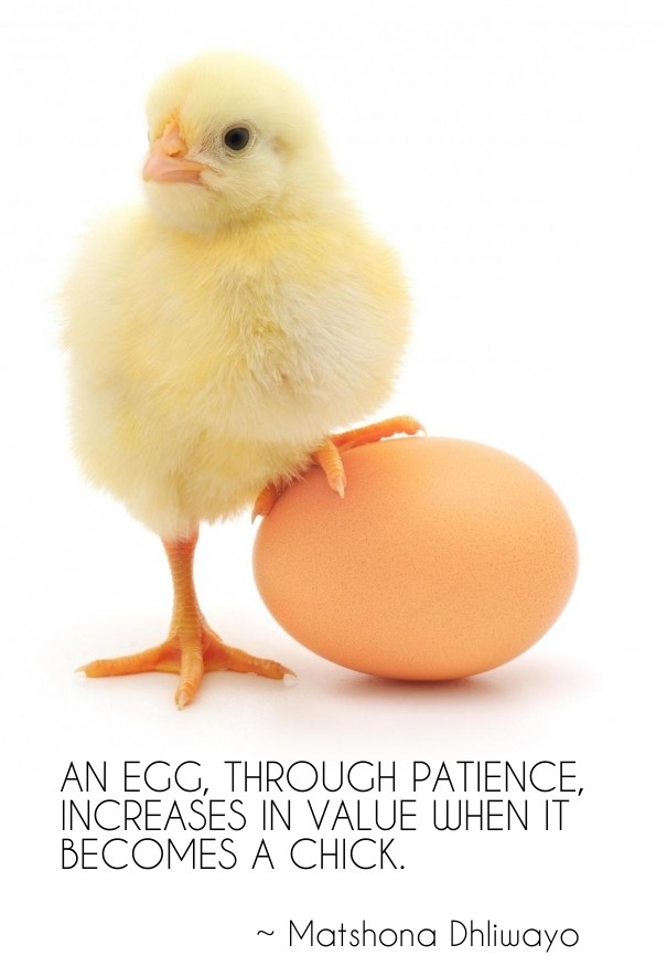 An egg, through patience, increases Design 