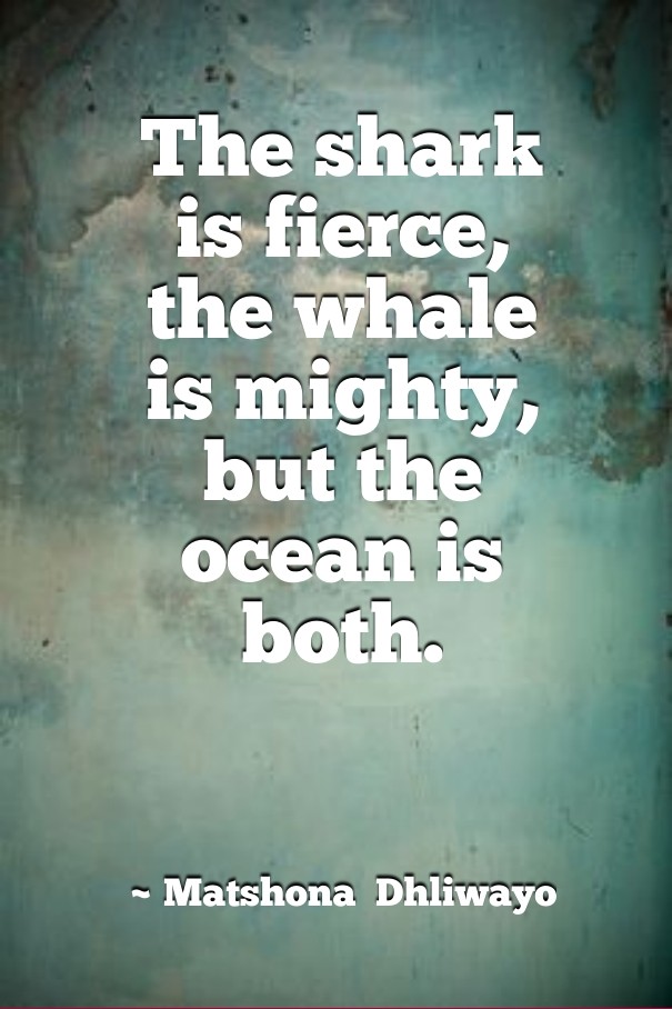 The shark is fierce, the whale is Design 