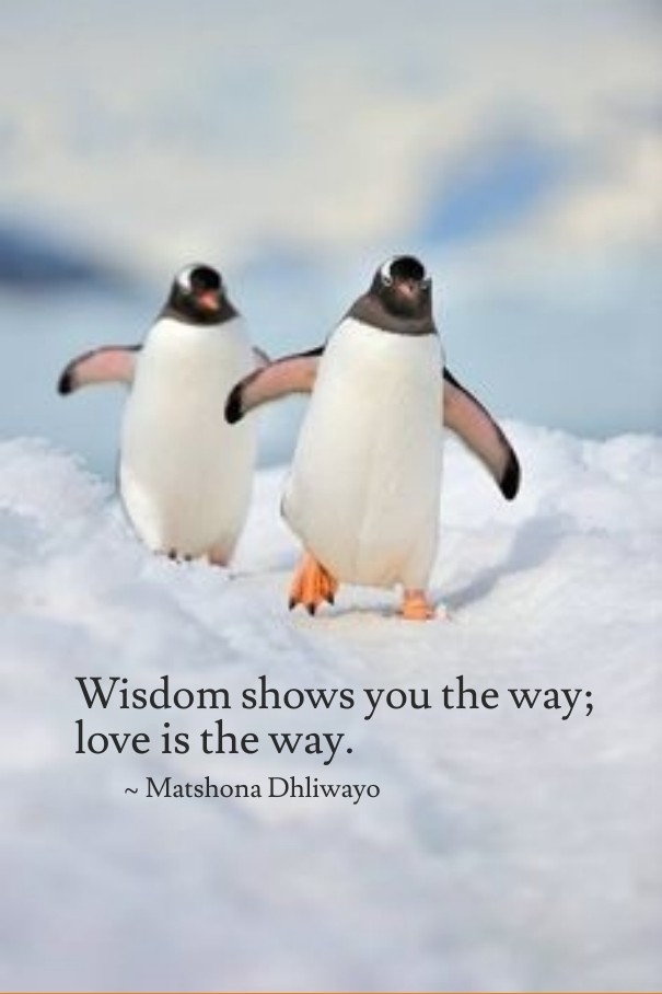 Wisdom shows you the way; love is Design 