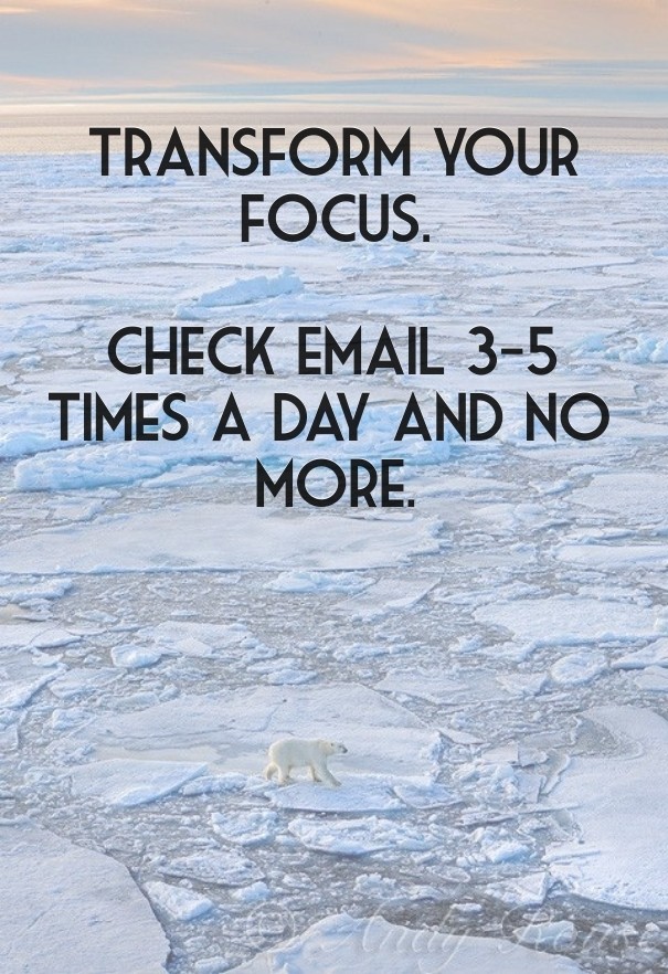 Transform your focus. check email Design 