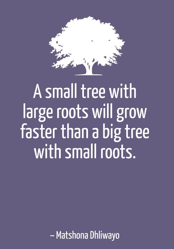 A small tree with large roots will Design 