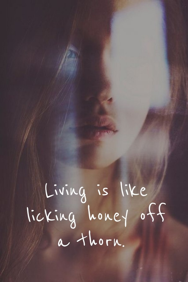Living is like licking honey off a Design 